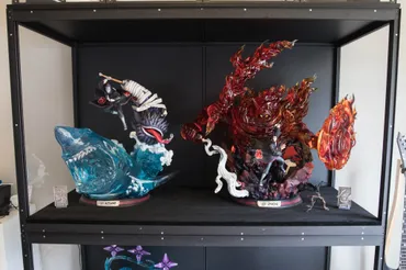 Moducase Display Cases Review