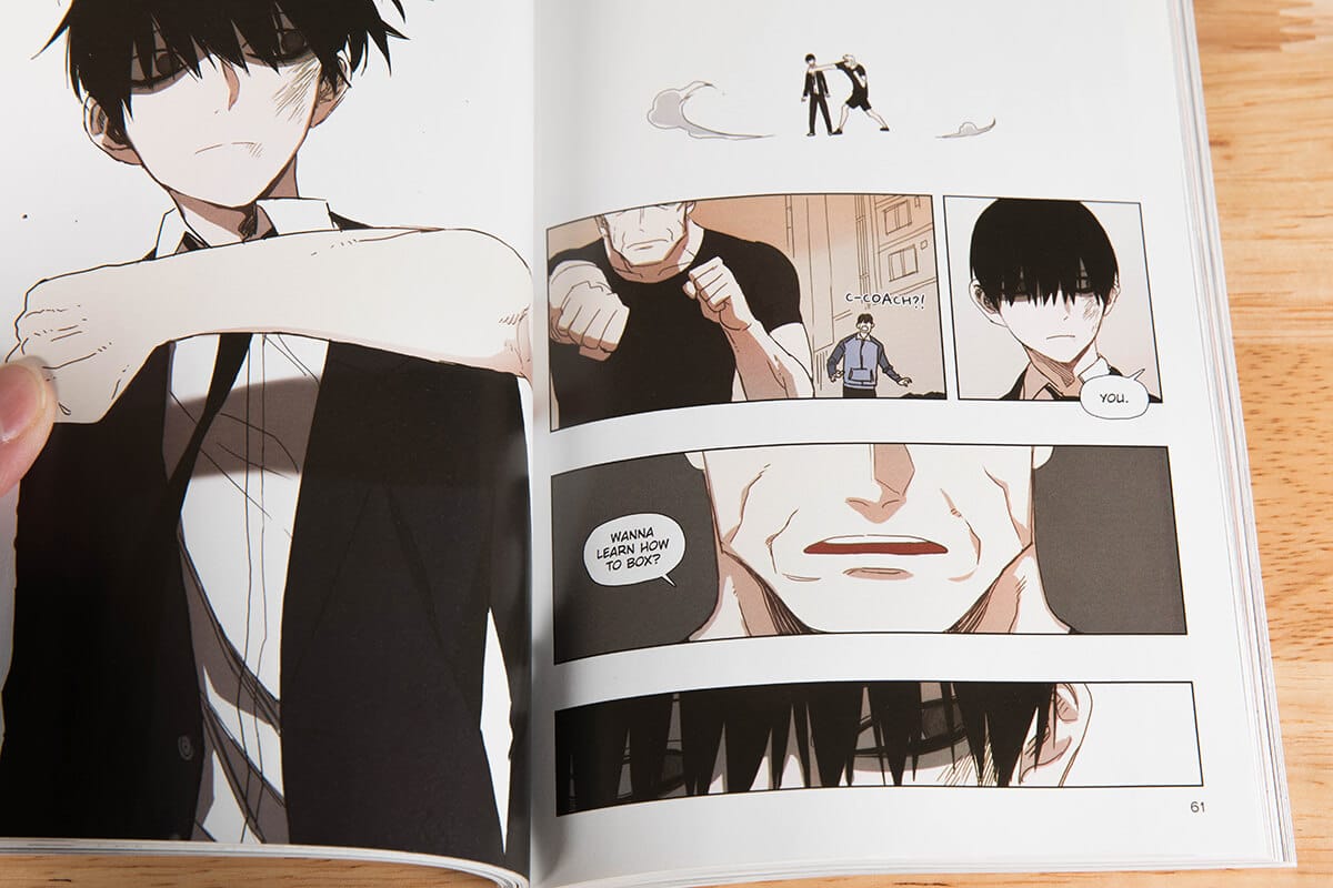 the boxer manhwa review 5