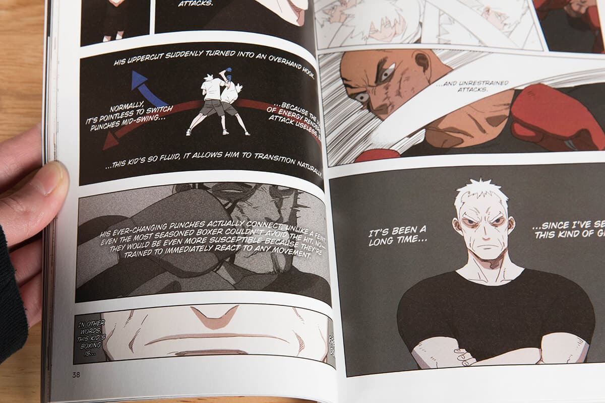 the boxer manhwa review 8 1