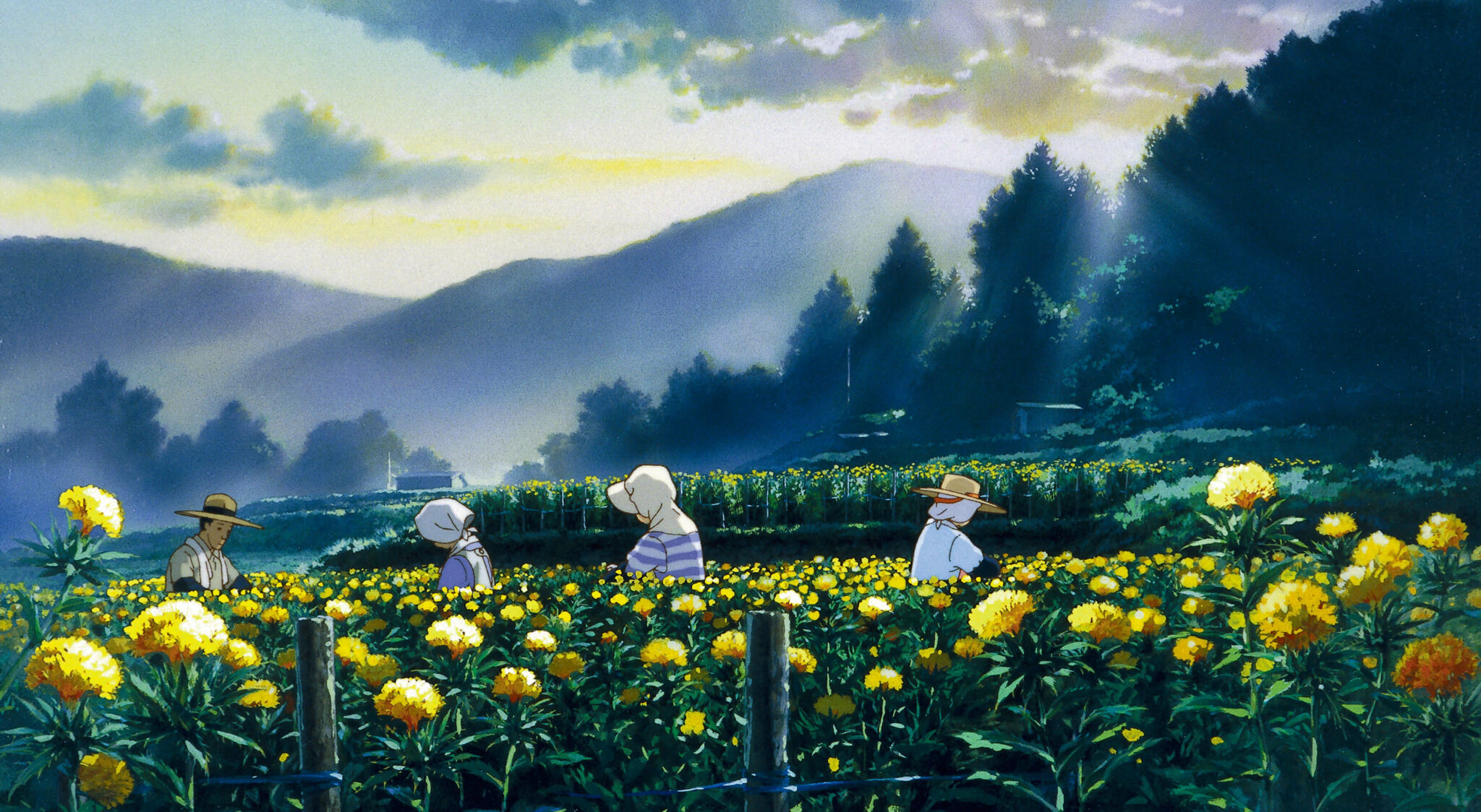 Only Yesterday Studio Ghibli Movie